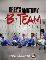 Grey's Anatomy B-Team French Stream