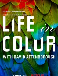 La Vie en couleurs avec David Attenborough French Stream
